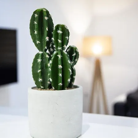 Appartamento Loft En El Corazón De Con Opción A Parking Cadice