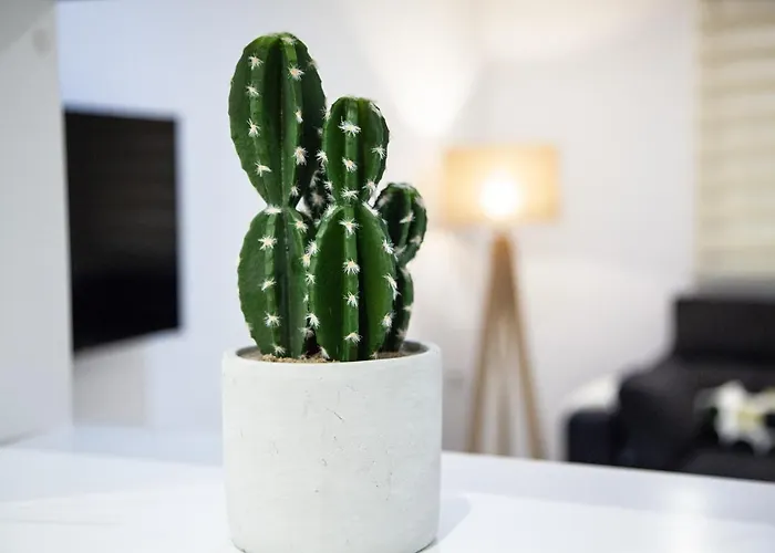 شقة Loft En El Corazon De Con Opcion A Parking كاديز